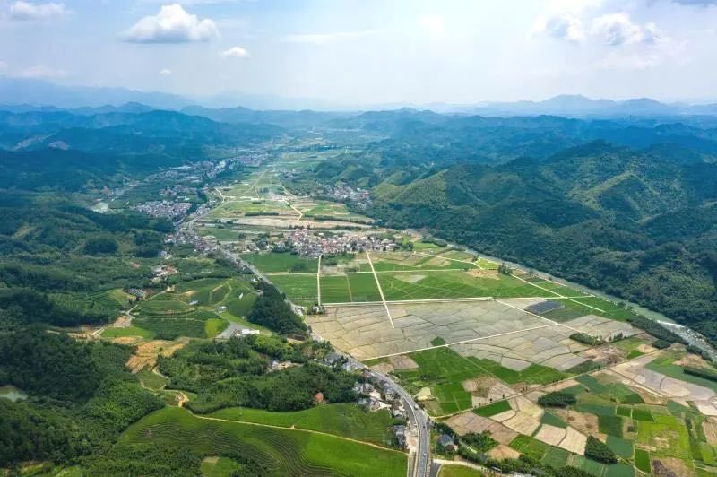 杭州三农案例：打造粮食高产高效农田示范区，实现共同富裕图1