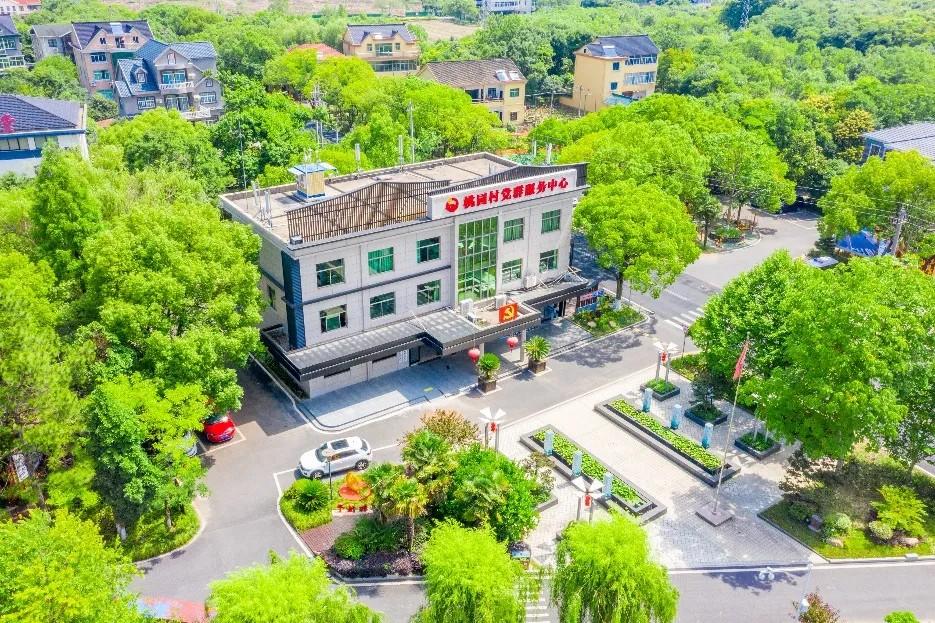 海宁桃园村——三治融合，多维度共建善治乡村